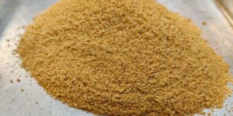 cientistas-brasileiros-criam-acucar-de-cana-com-absorcao-mais-lenta