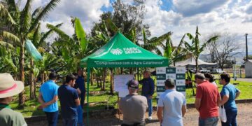 seminario-reune-produtores-e-debate-avancos-na-bananicultura-em-jacinto-machado