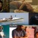 oscar-2027:-especialistas-revelam-favoritos-para-representar-o-brasil