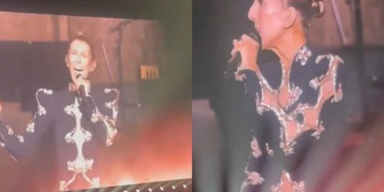 video:-celine-dion-emociona-ao-cantar-classico-em-retorno-aos-palcos