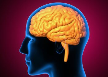 surdez-precoce-muda-como-o-cerebro-distribui-a-visao-periferica