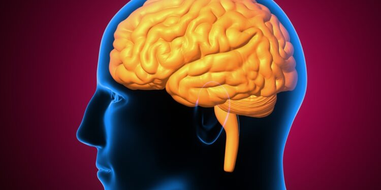 surdez-precoce-muda-como-o-cerebro-distribui-a-visao-periferica