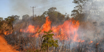incendio-se-aproxima-de-casa?-saiba-o-que-fazer-e-por-que-tentar-apagar-o-fogo-pode-ser-perigoso