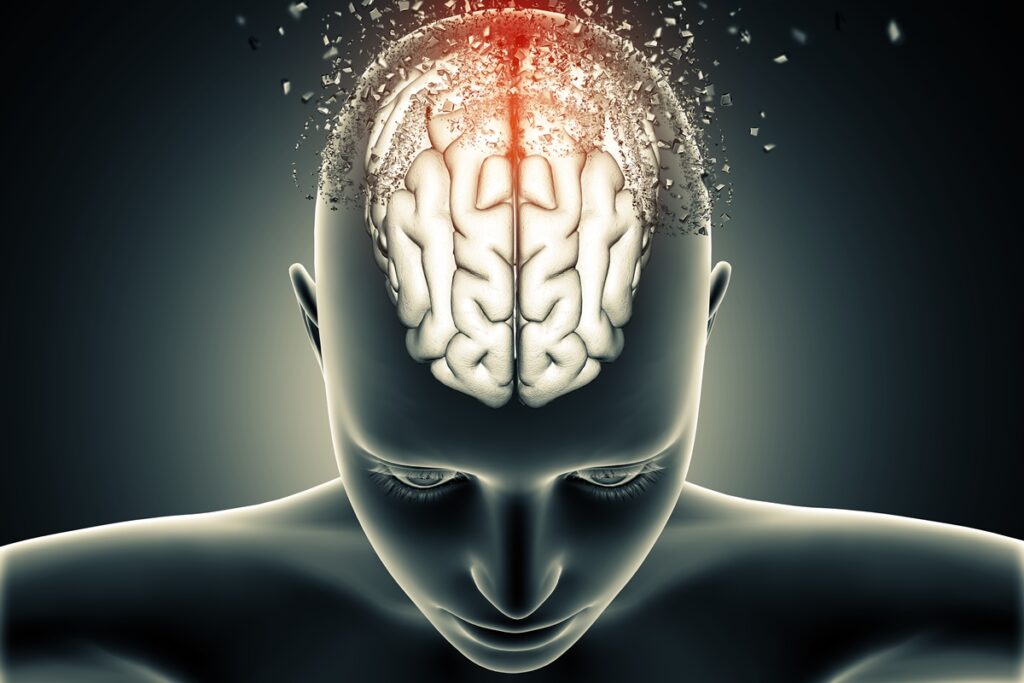 estudo-sugere-que-cerebro-tem-duas-origens-distintas-no-desenvolvimento
