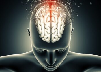 estudo-sugere-que-cerebro-tem-duas-origens-distintas-no-desenvolvimento