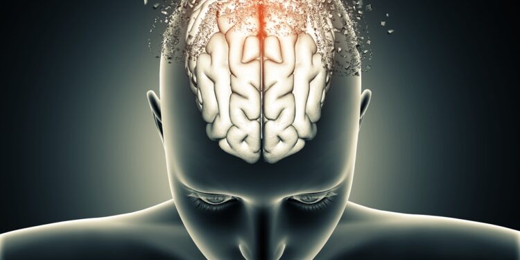 estudo-sugere-que-cerebro-tem-duas-origens-distintas-no-desenvolvimento