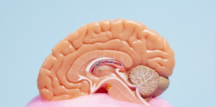 estimulacao-cognitiva-pode-retardar-perda-de-funcoes-no-alzheimer