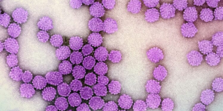 terapia-epigenetica-pode-reduzir-atividade-do-virus-da-hepatite-b