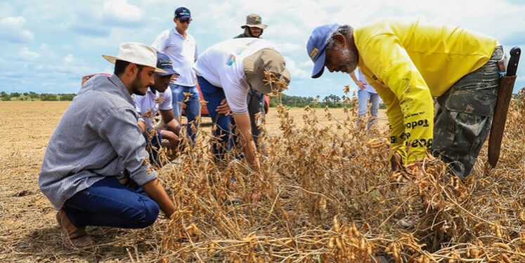 cldf-homenageia-engenheiros-agronomos-em-sessao-solene-nesta-terca-(29)