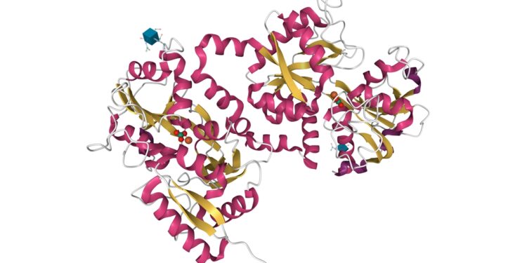 proteina-de-160-milhoes-de-anos-mostra-eficacia-contra-superbacterias