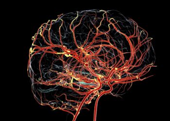 alteracoes-do-alzheimer-podem-surgir-antes-de-falhas-na-memoria,-diz-estudo
