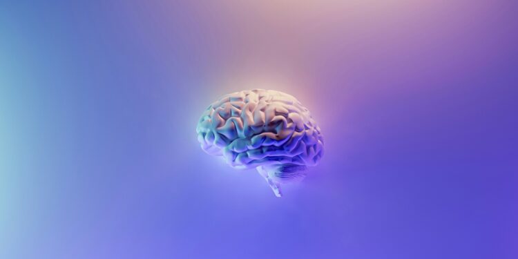 cientistas-conectam-3-minicerebros-e-registram-resposta-a-estimulos