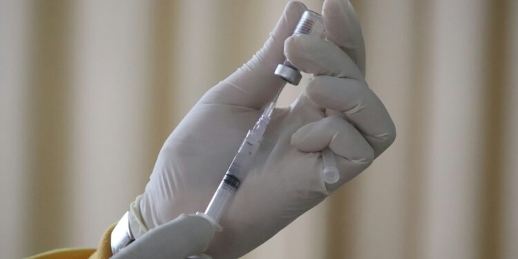 estudo-indica-acao-de-anticorpos-da-covid-contra-coronavirus-de-morcegos