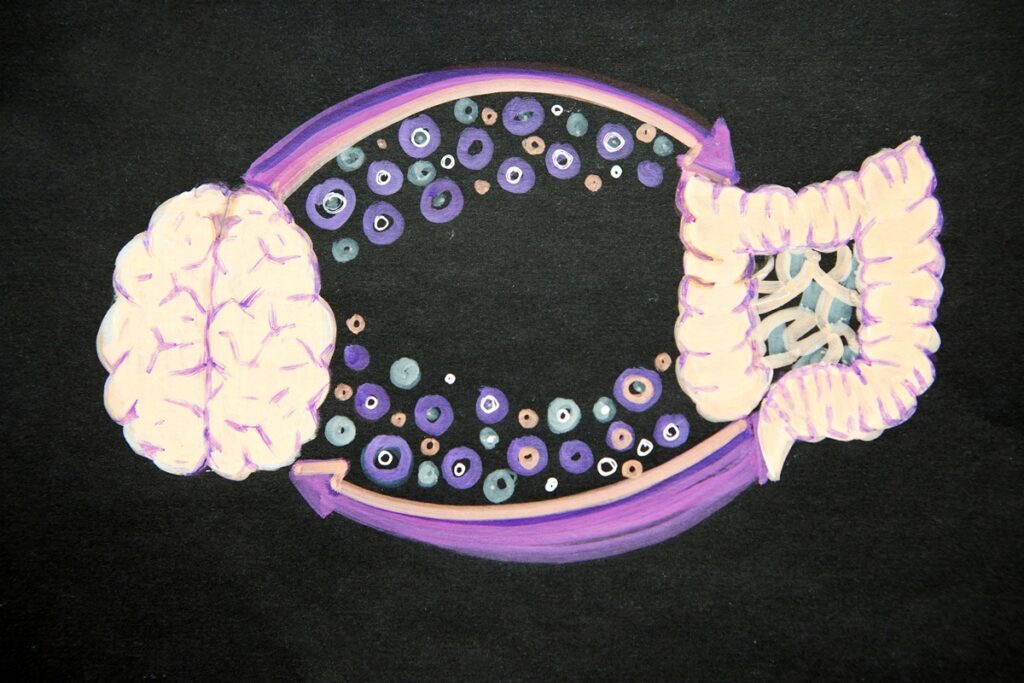 estudo-liga-bacterias-intestinais-ao-ritmo-de-envelhecimento-do-cerebro