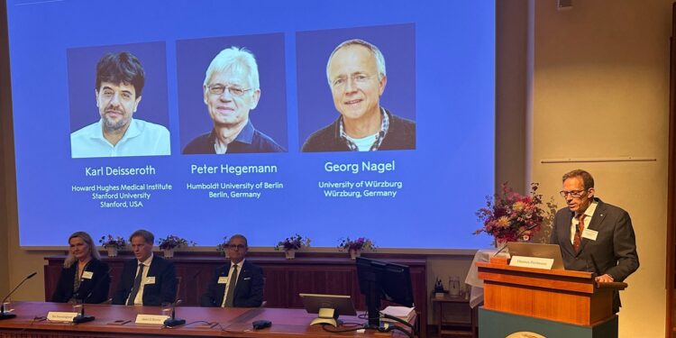 tecnica-ganhadora-do-premio-nobel-usa-luz-para-controlar-neuronios