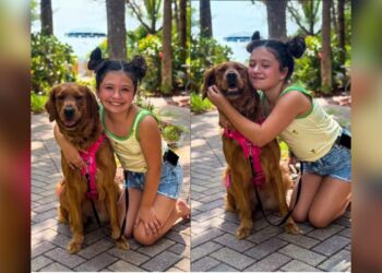 menina-de-11-anos-tem-ajuda-de-cachorra-para-controlar-a-diabetes