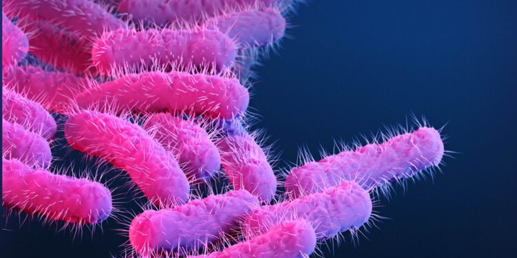 diarreia-transmitida-pelo-sexo-mostra-resistencia-a-antibioticos