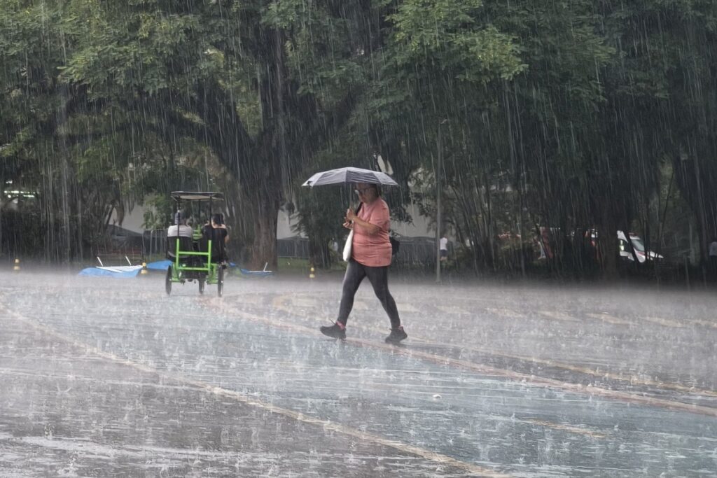 clima:-sul,-sudeste-e-centro-oeste-enfrentam-chuvas;-interior-tem-calorao