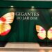 insetos-gigantes-invadem-shopping-em-brasilia