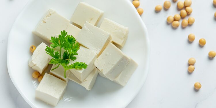 tofu-e-eleito-a-melhor-proteina-do-mundo-e-a-de-menor-impacto-ambiental