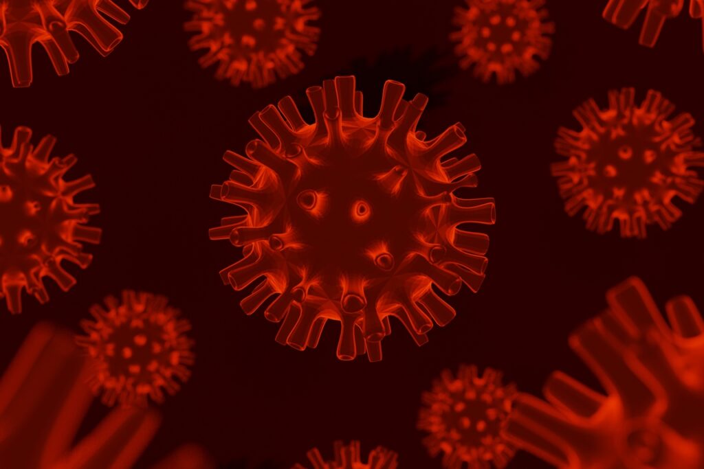 franca-registra-a-primeira-infeccao-humana-pelo-virus-shamonda-no-mundo