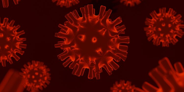 franca-registra-a-primeira-infeccao-humana-pelo-virus-shamonda-no-mundo