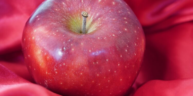 consumo-de-maca-pode-ajudar-a-diminuir-a-glicose-e-melhorar-a-microbiota