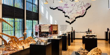 museu-das-gemas:-a-historia-de-um-acervo-de-pedras-preciosas-em-brasilia