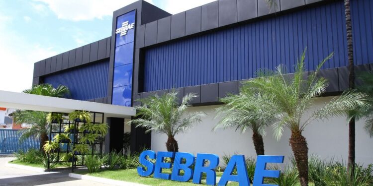 sebrae-df-impulsiona-economia-local-com-capacitacao-e-suporte-a-pequenos-negocios