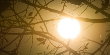 brasil-pode-ter-mais-de-26-mil-mortes-devido-ao-el-nino,-indica-estudo